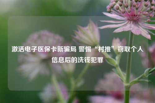 激活电子医保卡新骗局 警惕“村推”窃取个人信息后的洗钱犯罪