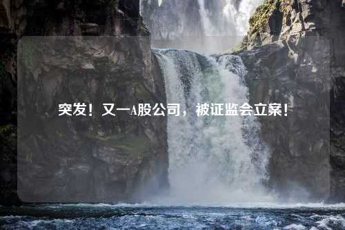 突发！又一A股公司，被证监会立案！