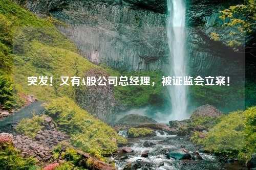 突发！又有A股公司总经理，被证监会立案！