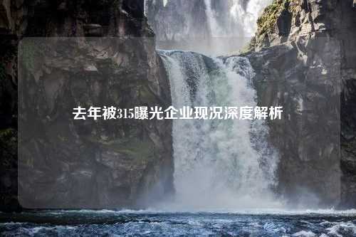 去年被315曝光企业现况深度解析