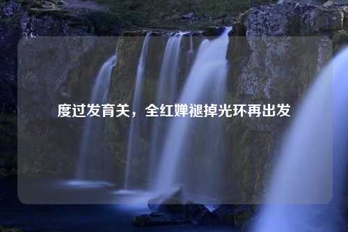 度过发育关，全红婵褪掉光环再出发