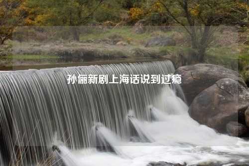 孙俪新剧上海话说到过瘾