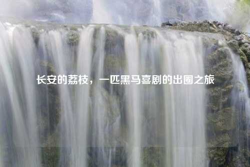 长安的荔枝，一匹黑马喜剧的出圈之旅